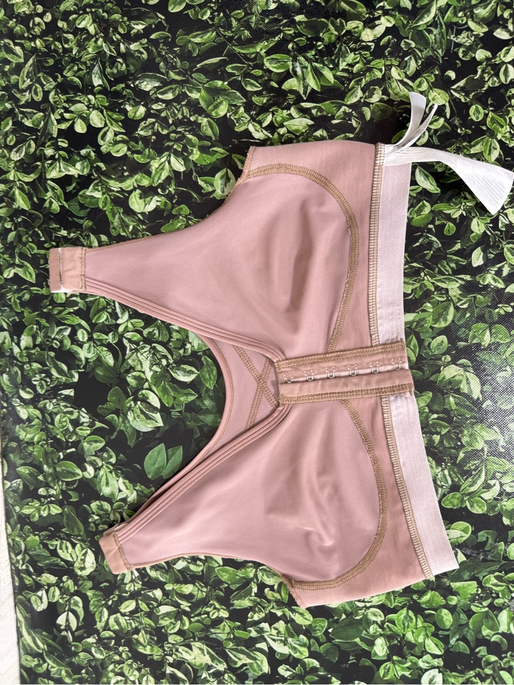 Bra - Picture 11 of 12
